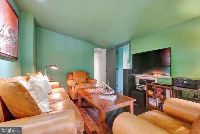 323 N Patrick St, Alexandria, VA 22314 - living area featuring wood finished floors and vaulted ceiling