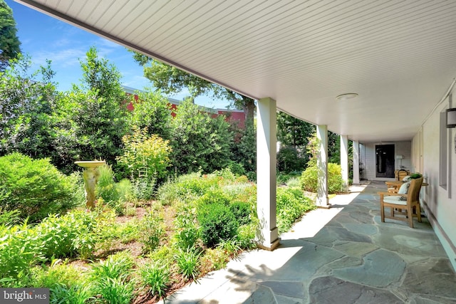 323 N Patrick St, Alexandria, VA 22314 - view of patio