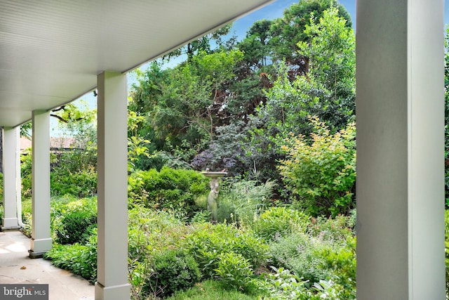 323 N Patrick St, Alexandria, VA 22314 - view of patio