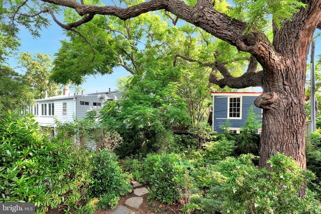 323 N Patrick St, Alexandria, VA 22314 - view of yard