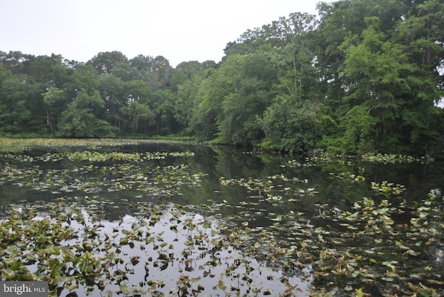 228 Canal Park Dr Unit G-1, Salisbury, MD 21804 - water view featuring a heavily wooded area