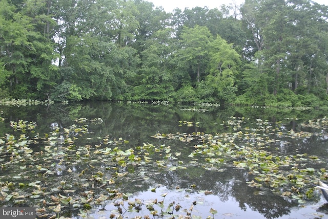 228 Canal Park Dr Unit G-1, Salisbury, MD 21804 - water view with a forest