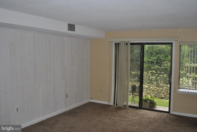 228 Canal Park Dr Unit G-1, Salisbury, MD 21804 - spare room featuring carpet floors, plenty of natural light, wooden walls, and a textured ceiling