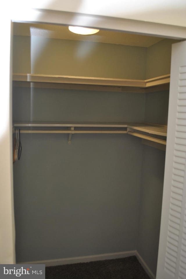 228 Canal Park Dr Unit G-1, Salisbury, MD 21804 - view of closet