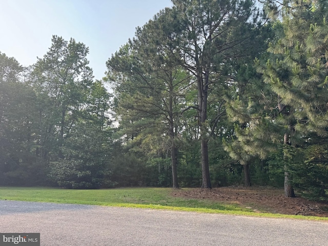 LOT53 Emerald Cove Rd, Reedville, VA 22539