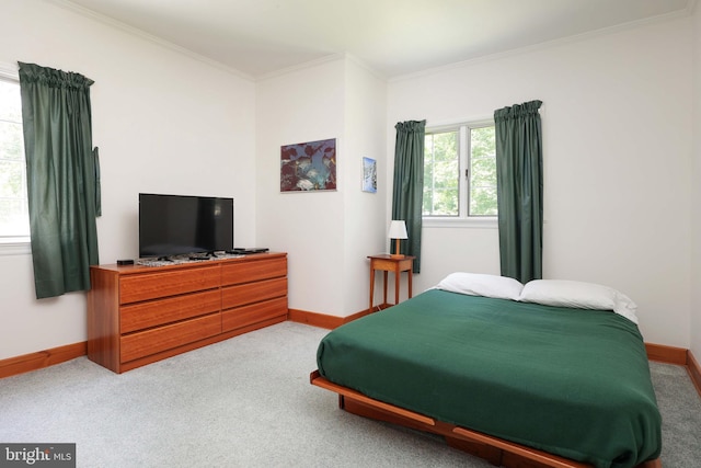 330 Cherry Hill Rd, Princeton, NJ 08540 - bedroom featuring baseboards, carpet flooring, and crown molding