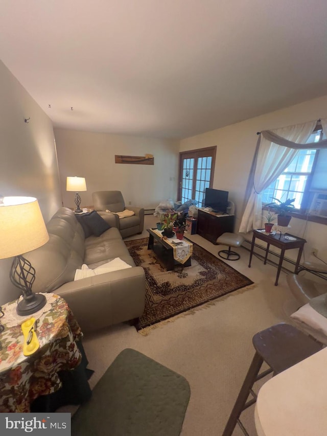 8 Cedar Rd, Mount Pocono, PA 18344 - view of carpeted living area