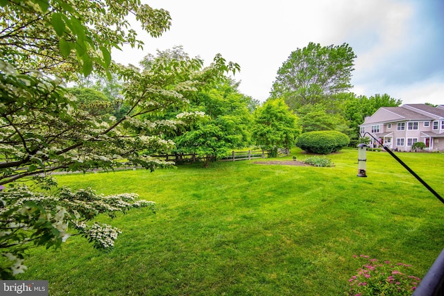 112 Jeffords Ct Unit 1601, Phoenixville, PA 19460 - view of yard