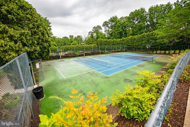 112 Jeffords Ct Unit 1601, Phoenixville, PA 19460 - view of tennis court