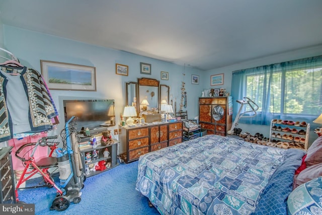802 Timber Crk, Lindenwold, NJ 08021 - view of carpeted bedroom