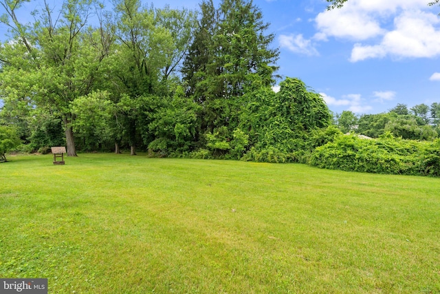 1404 Stockton Rd, Joppa, MD 21085 - view of green lawn