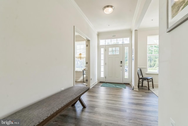 8604 Cedar Chase Dr, Clinton, MD 20735 - entryway with crown molding, wood finished floors, and baseboards