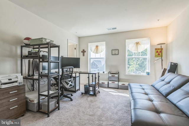 8604 Cedar Chase Dr, Clinton, MD 20735 - view of carpeted home office