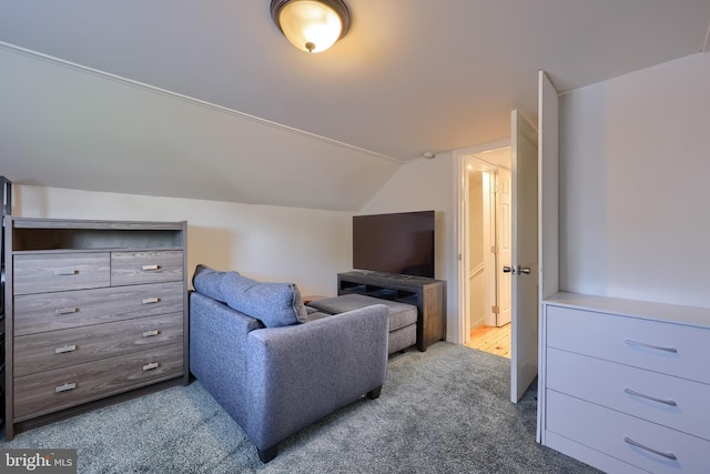 1304 Maple Ave, Lancaster, PA 17603 - living area with lofted ceiling and carpet