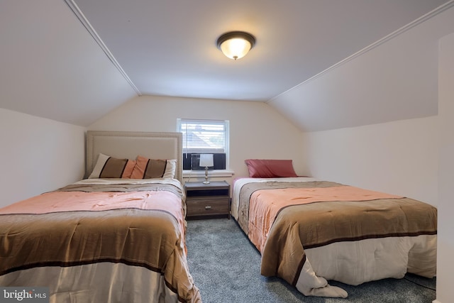1304 Maple Ave, Lancaster, PA 17603 - bedroom featuring carpet and vaulted ceiling