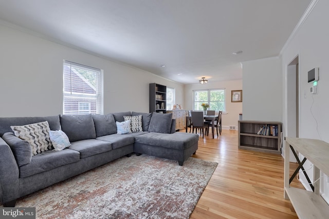 1304 Maple Ave, Lancaster, PA 17603 - living area featuring crown molding and light wood-style flooring