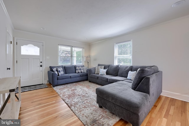 1304 Maple Ave, Lancaster, PA 17603 - living room featuring light wood finished floors, crown molding, and baseboards