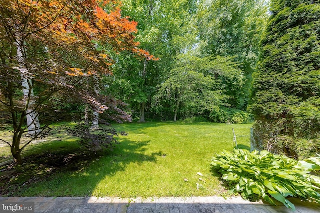 621 Foxton Ct, West Deptford, NJ 08051 - view of green lawn featuring a forest view