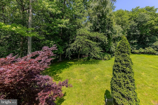 621 Foxton Ct, West Deptford, NJ 08051 - view of green lawn