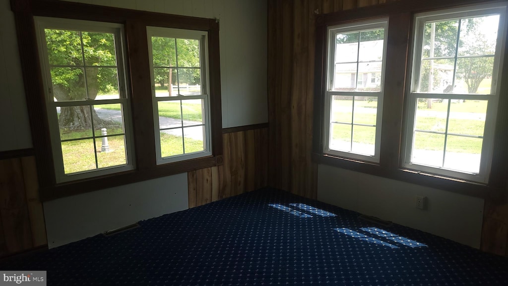 22333 Colton Point Rd, Bushwood, MD 20618 - empty room with plenty of natural light, wooden walls, and carpet floors