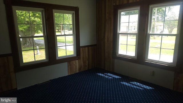 22333 Colton Point Rd, Bushwood, MD 20618 - empty room with plenty of natural light, wooden walls, and carpet floors
