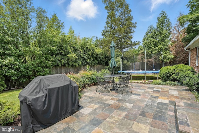 6622 Skyline Ct, Alexandria, VA 22307 - fenced backyard with a patio area, outdoor dining space, a grill, a trampoline, and view of wooded area