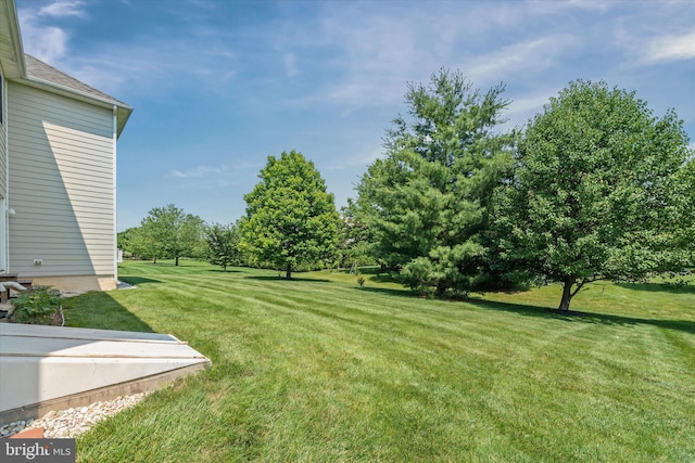 915 Mather Dr, Bear, DE 19701 - view of grassy yard