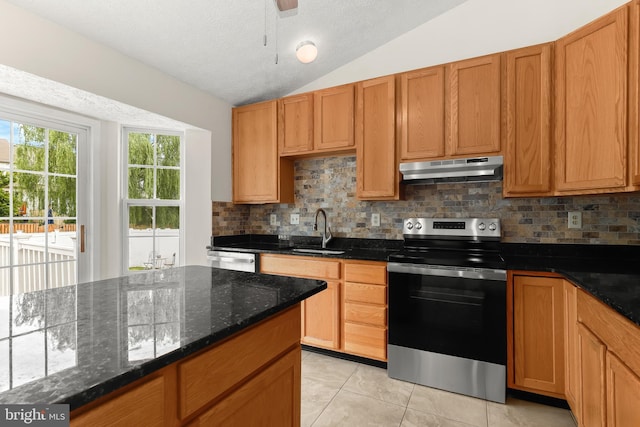 542 June Apple Ct, Abingdon, MD 21009 - kitchen featuring stainless steel appliances, under cabinet range hood, a sink, lofted ceiling, and decorative backsplash