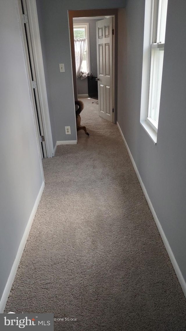 1707 Harman Ave, Baltimore, MD 21230 - hall with carpet flooring and baseboards