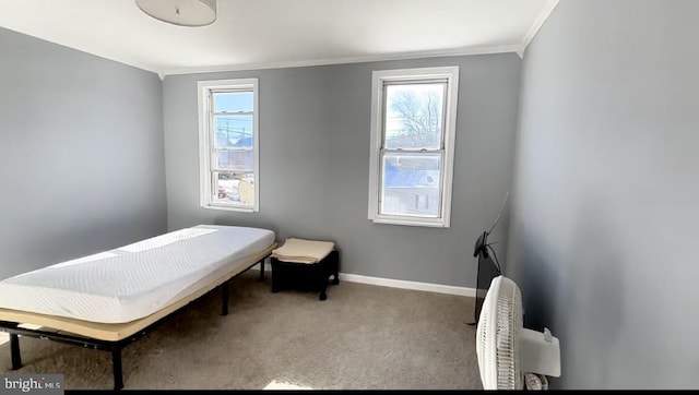 1707 Harman Ave, Baltimore, MD 21230 - bedroom featuring crown molding, carpet floors, and baseboards