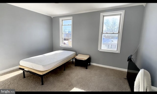 1707 Harman Ave, Baltimore, MD 21230 - carpeted bedroom with ornamental molding and baseboards