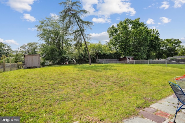 10520 Truxton Rd, Hyattsville, MD 20783 - view of yard
