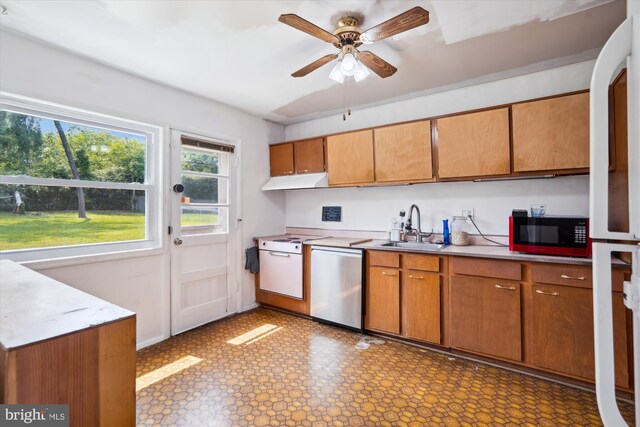 10520 Truxton Rd, Hyattsville, MD 20783 - kitchen featuring dishwasher, a sink, under cabinet range hood, a ceiling fan, and light countertops