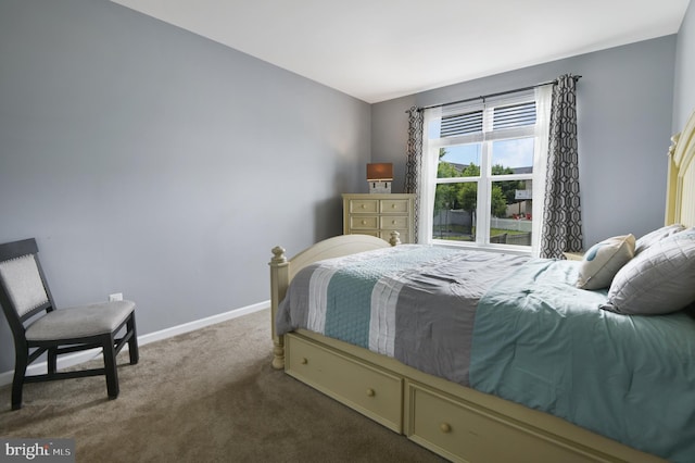 2017 Chamberlain Dr, Frederick, MD 21702 - bedroom with carpet floors and baseboards