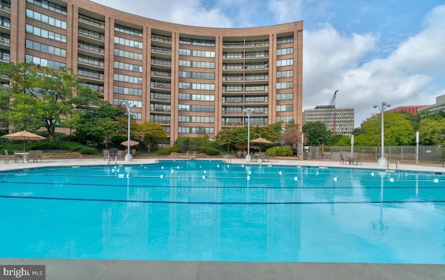 1805 Crystal Dr Unit 1110S, Arlington, VA 22202 - view of community pool