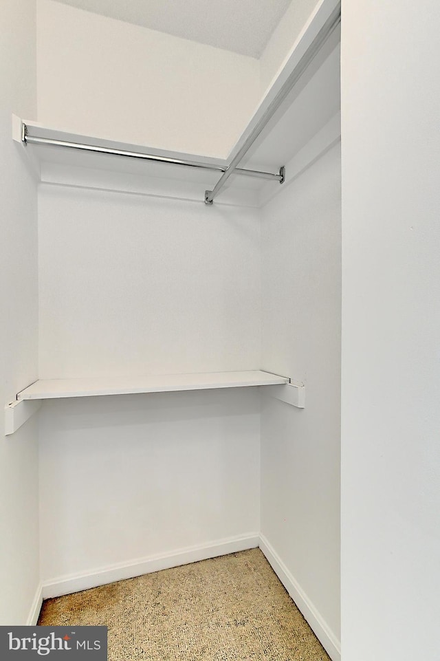 1805 Crystal Dr Unit 1110S, Arlington, VA 22202 - spacious closet with carpet