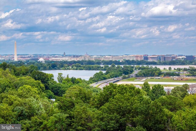 1805 Crystal Dr Unit 1110S, Arlington, VA 22202 - drone / aerial view of a large body of water
