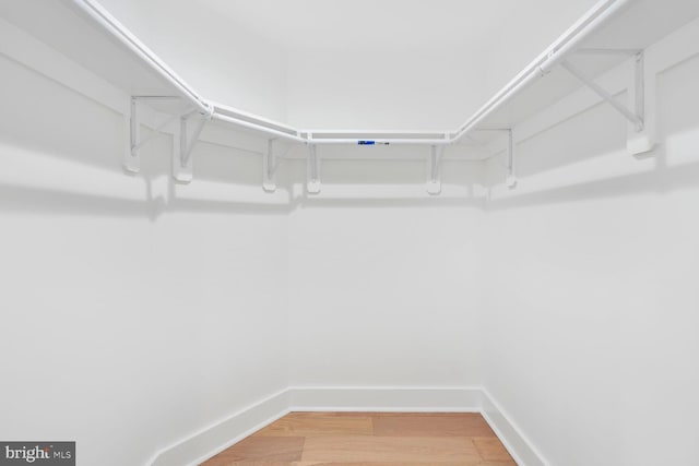 4324 Yuma St NW, Washington, DC 20016 - walk in closet with light wood-style floors
