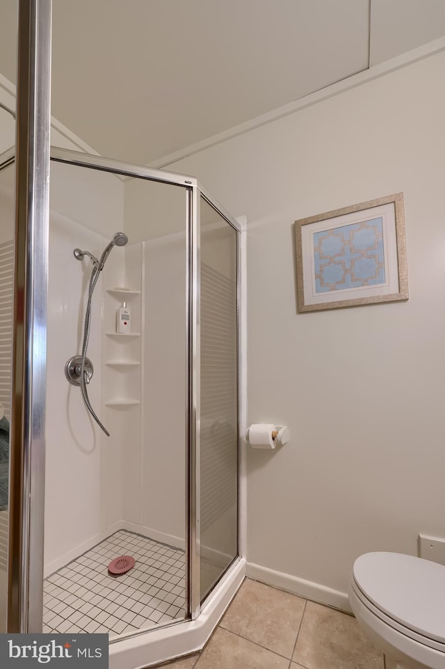 402 Swamp Rd, Morgantown, PA 19543 - full bathroom featuring tile patterned flooring, a shower stall, toilet, and baseboards