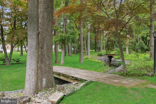 161 Bull Run Rd, Pennington, NJ 08534 - view of grassy yard