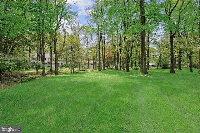 161 Bull Run Rd, Pennington, NJ 08534 - view of grassy yard