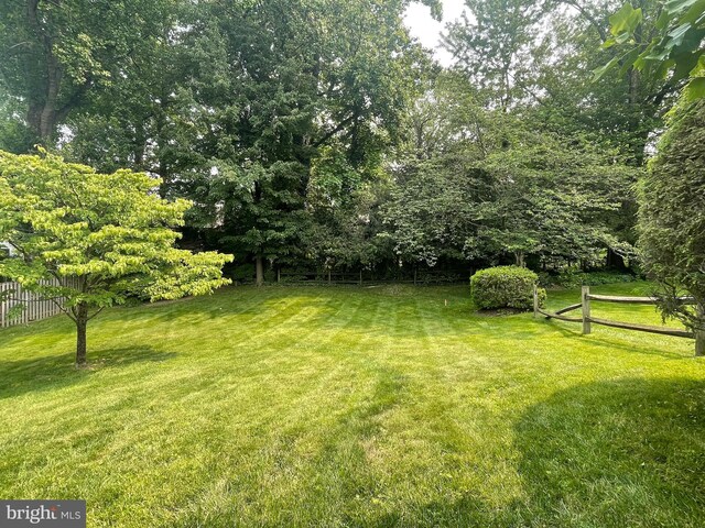 4740 34th Rd N, Arlington, VA 22207 - view of yard