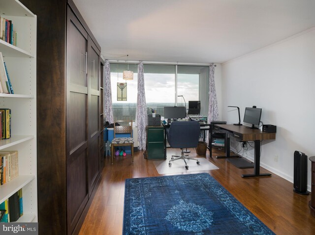 3900 Ford Rd Unit 21E & 20E, Philadelphia, PA 19131 - office area with wood finished floors, baseboards, and expansive windows