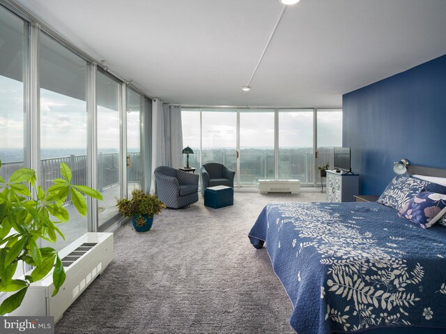 3900 Ford Rd Unit 21E & 20E, Philadelphia, PA 19131 - bedroom with carpet flooring and a wall of windows