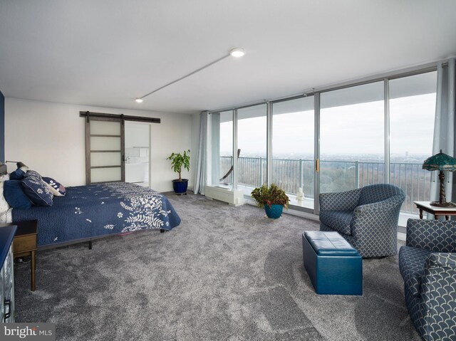 3900 Ford Rd Unit 21E & 20E, Philadelphia, PA 19131 - carpeted bedroom with a barn door and access to exterior