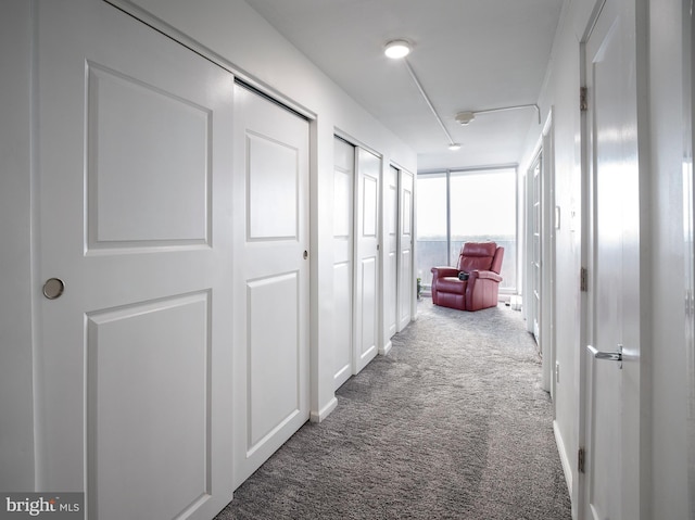 3900 Ford Rd Unit 21E & 20E, Philadelphia, PA 19131 - hallway with carpet
