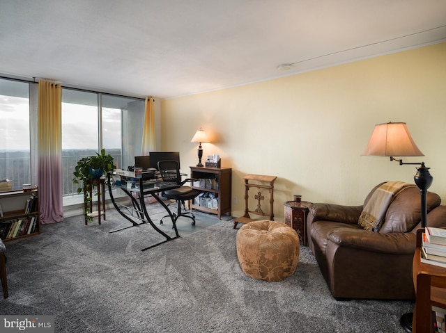 3900 Ford Rd Unit 21E & 20E, Philadelphia, PA 19131 - view of carpeted office