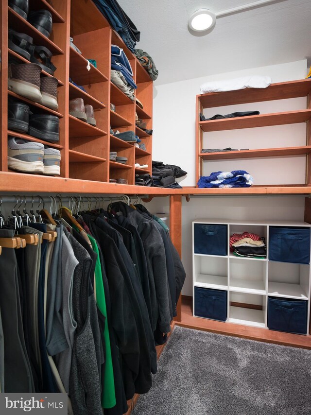 3900 Ford Rd Unit 21E & 20E, Philadelphia, PA 19131 - view of spacious closet