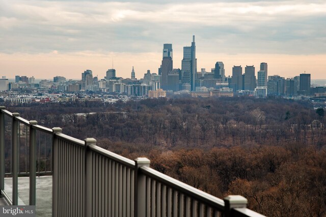3900 Ford Rd Unit 21E & 20E, Philadelphia, PA 19131 - skyline view