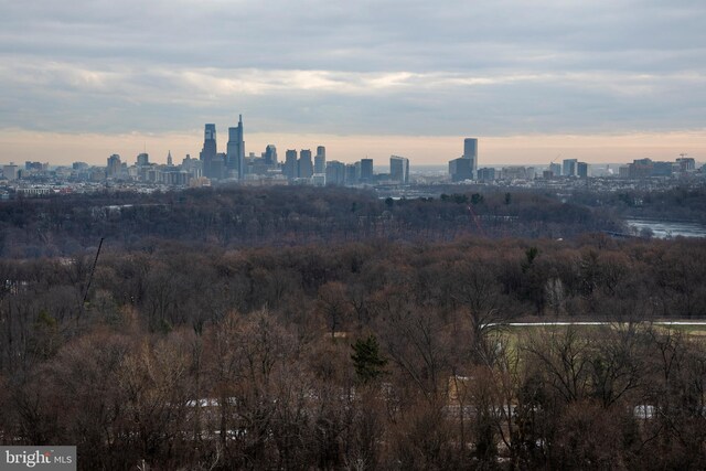 3900 Ford Rd Unit 21E & 20E, Philadelphia, PA 19131 - skyline view